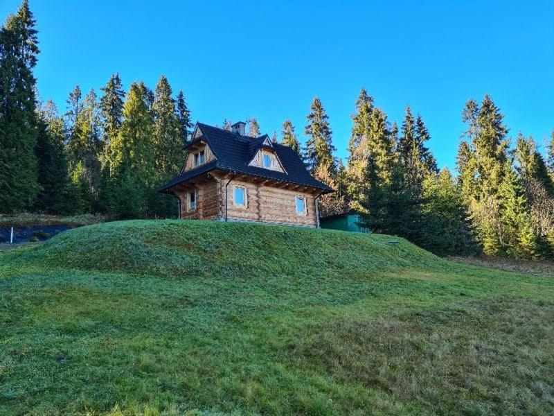 Villa Alpinka Bukowina Tatrzańska Exterior foto